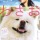 Meet Wasao, Aomori’s Canine Celebrity